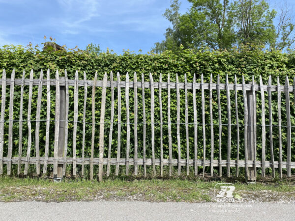 Robinien-Staketenzaun ca. 120cm | Rollen zu 10-LFM – Bild 10